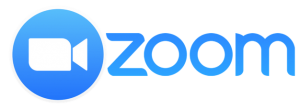 Logo zoom 
