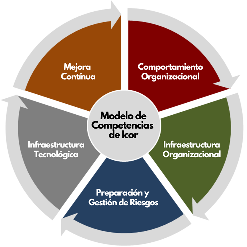 Introducir 112+ imagen modelo de competencias organizacionales