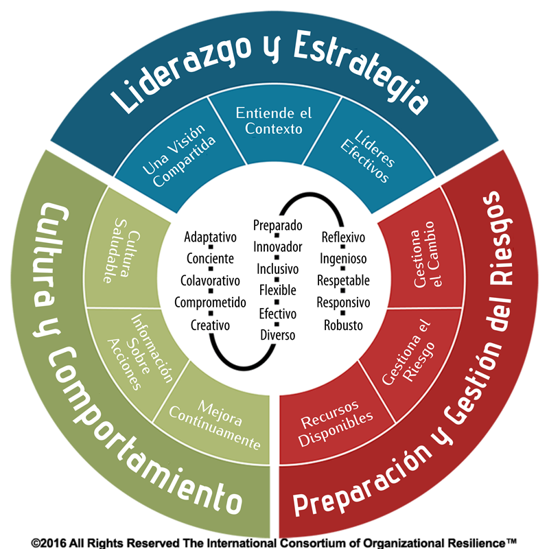 Modelo de resiliencia organizacional - DRJ en Español